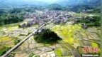 广西侗乡立夏田园美