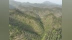 甘肃林改案例入选国家典型　智撑破解历史遗留问题