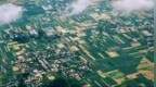 一吃一个不吱声