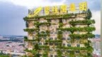 碧桂园：砸锅卖铁保交房，尽快让公司恢复正常经营