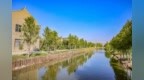 江苏靖江：打造生态河道，优化人居环境