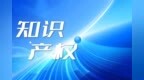 《2025年知识产权强国建设推进计划》印发