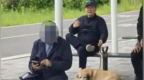 尹锡悦在公园悠闲遛狗，韩在野党成员：让他好好享受最后的出游吧