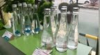 采集桦树汁到底伤不伤树？听听专家怎么说