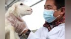 数据分析替代祖传经验　甘肃新农人解锁种地新姿势