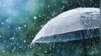 返程注意！南方局地有暴雨或大暴雨，北方降雨增多风沙齐至
