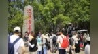 “五一”过半，山海港城热度不减，精彩持续绽放