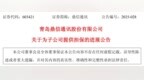 青岛鼎信通讯：为两家子公司合计提供2亿元担保