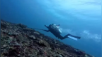 为找回GoPro，30岁中国女游客在印尼潜水溺亡