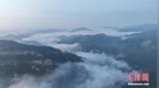 氤氲入画 河北青龙晨雾缭绕美如画