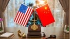 中美关税互让释放合作红利，贸易回暖带动航运出口需求激增