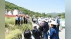 第七届全国（杨凌）油菜科技大会推动油菜根肿病防控提质升级