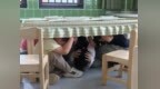 肥东县新安幼教集团总园：人人讲安全 个个会应急