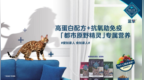 高端宠物食品品牌Blue Buffalo蓝挚三大产品系列，满足猫咪健康喂养全需求