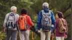 353名老人被骗超6751万，警惕“0元游”陷阱