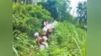 遂川县解锁生态资源多维转化新路径 让每片绿叶释放金色能量