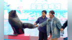 秦皇岛：跑浪漫秦马 游魅力新区 探秘圣蓝海洋公园奇幻之旅
