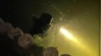 男子手机落水花500元请打捞队搜寻未果，隔天定位出现在卖场