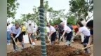 共植“同心林” 中山广泛凝聚港澳台侨力量参与各项事业建设