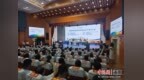 三亚实施“十大行动” 全力提升旅游服务质量