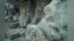 祁连雪豹再现优雅“猫步”　红外影像见证生态治理成果