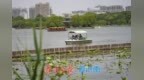 初夏大明湖游人如织，泛舟赏景尽享“半城湖色”