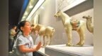 参观博物馆 感受历史文化魅力