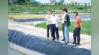 崖州区：“渔稻共生”生态种养 探索高效农业新路径