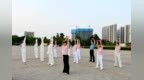 今夏仲景故里新“夜”态：南阳市中医药文化夜市启动