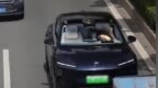 深圳交警引入全新大疆警用无人机，可抓拍司机开车玩手机行为