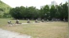 以考促训！汕尾市2025年度基层专武干部集训队组织轻武器射击训练考核