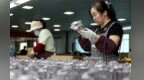 制品出海服务国际大牌　张掖这“玻”很“晶”彩