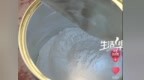 三万罐劣质奶粉外包装标注为进口 销售方称每罐成本价不足3元
