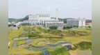 江门开平市百合镇：“三圩联动”齐发力 “三通一平”促均衡