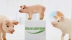 牧原食品股份有限公司向港交所提交上市申请书