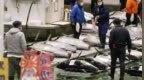 中方应约同日方就日本水产品安全问题进行新一轮技术交流