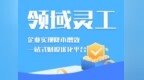 领域灵工：重塑灵活用工平台生态的技术标杆与合规典范