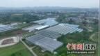 南京江宁打造“红果”产业 构建现代化农业产业体系