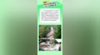 端午太行大峡谷狂欢指南：免费粽子、漂流装备福利，吃住购优惠全解锁