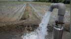 甘肃一地通知严禁用自来水浇地，当地：为优先保证生活用水，下雨后供水已正常，没罚款