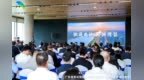 南沙自贸片区十周年亮出“高分答卷”：多项成果领跑全国