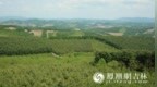 三棚村村民的“绿色银行”