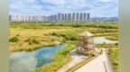 盐碱地如何变成碳金库　兰州新区“生态银行”这样破局