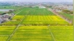 “万”卷蓝图，“石”代争先|万石“耕”新！“种”出农业好风景