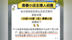 首批！流量扶持、万元助力、IP联名……招募主理人啦！