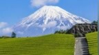 7月5日，日本真的会发生大地震吗？