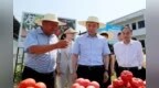 璧山区委书记江志斌：以农文旅融合发展为抓手  推动现代都市农业提档升级