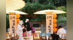 一年四季 泉在济南丨花墙子泉畔凌霄开 花泉相映尽显泉城诗意