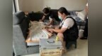 九江市中医医院：云端护理暖童心，守护2岁化疗宝宝的治疗时光
