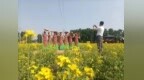 友谊灿烂花海景色如画